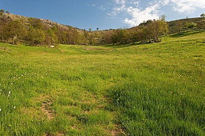 Heath alternating with hay meadows