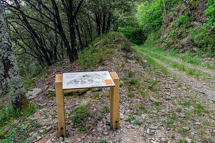 La face cachée du ravin