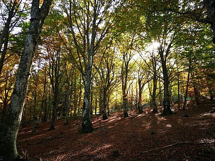 La réserve de l'Hom