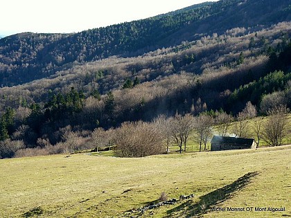 Le berger transhumant du col de Salidès