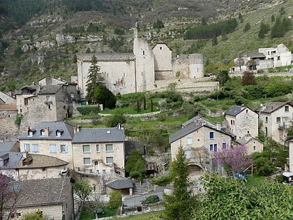 Les vestiges de l’abbaye
