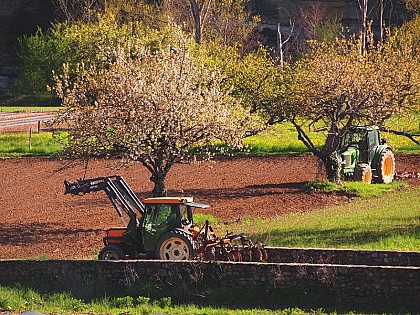 The gardens of Ispagnac