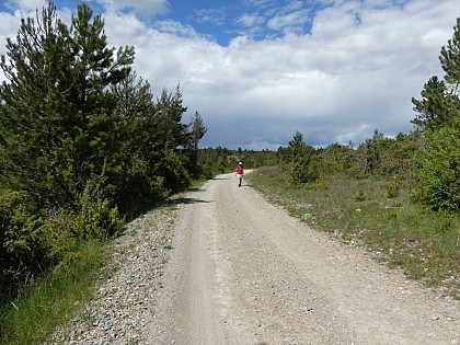 La grande draille d’Aubrac