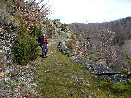 Small walls and terraces