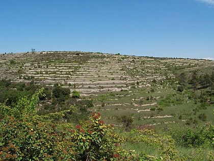Terrasse de Saint-Brès