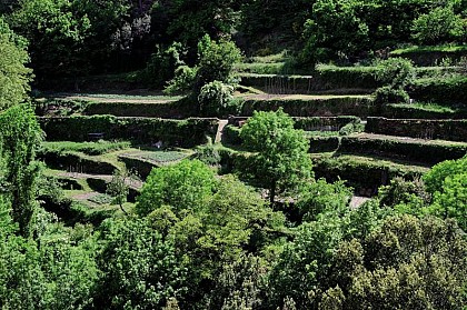 Les Calquières
