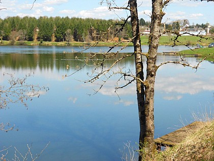 Etang Neuf