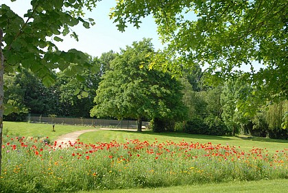 Parc des Sittelles