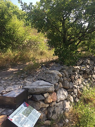 Walking through the site
