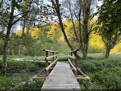 Promenez-vous... à Attert !