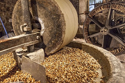 Moulin à huile de Chanaz : visite du Moulin