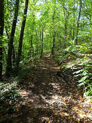Domaine de Montéclin