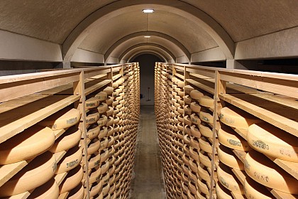 Fort de Saint Antoine