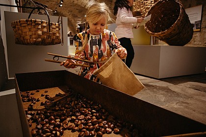 Castanea - Discover the world of sweet chestnut