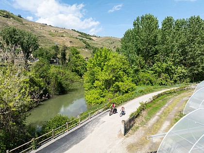 ViaRhôna : De Loire-sur-Rhône à Condrieu