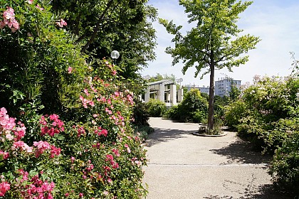 Parc de Belleville