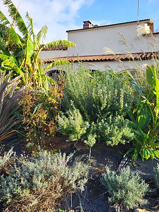 Le Domaine des Sauvineries - Les Figuiers