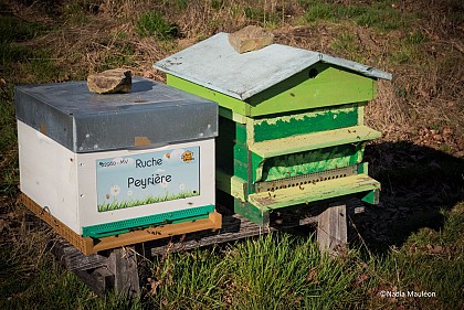 Rucher de Pierrefitte