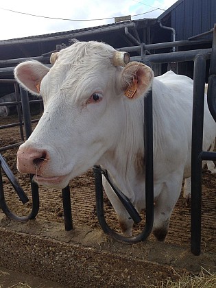 La Ferme de Bonneuil