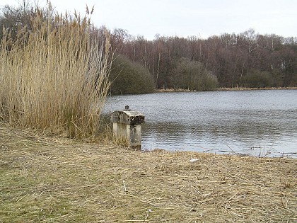 Que d'eau, que d'eau