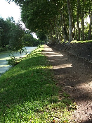 L'allée du port, 200 ans d'histoire