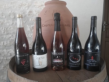 EARL Château Gaillard