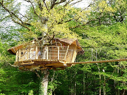 Cabanes et maisons dans les branches du Domaine de Dienné
