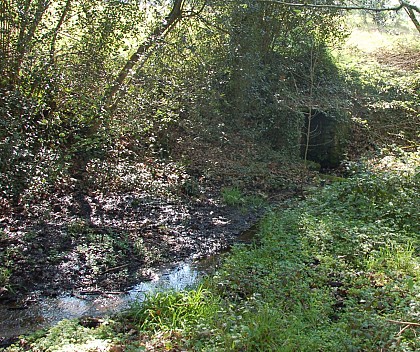 Trédion, Fontaine de Villeneuve