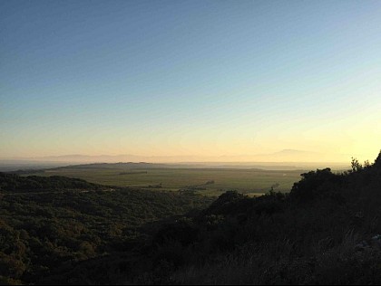 Vignoble de Lirac au petit jour