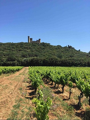 Château du Jonquier