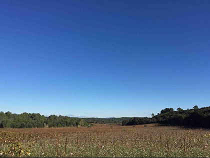 Vue sur le Mont Bouquet