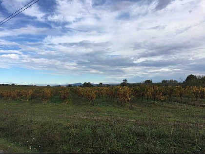 Vue sur le Mont Bouquet