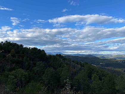 Point de vue sur le Massif des Cévennes et le Mont Lozère
