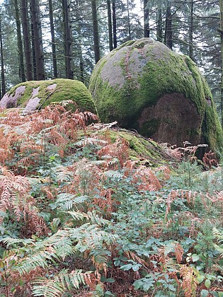 Pierre ronde (Saint-Léger-la-Lontagne)