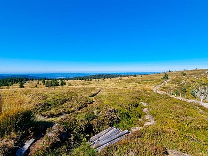 THE TANET-GAZON DU FAING NATURE RESERVE