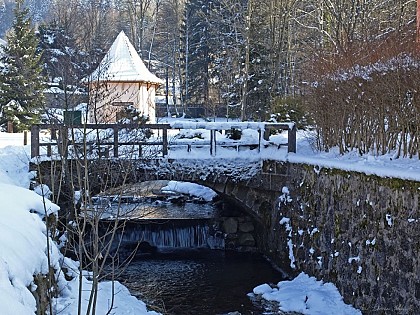 Source Marie - eau ferrugineuse