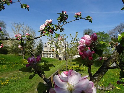 CHÂTEAU DES BRASSEURS