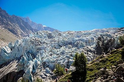 Glacier d'Argentière