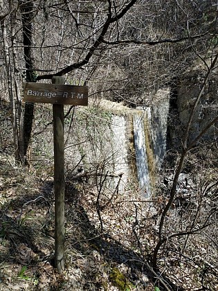 The water