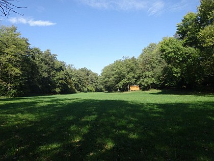 Ecully - Ruisseau des Planches