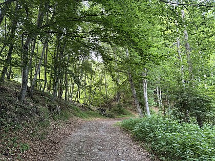 Canal de Gap