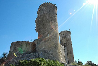 Forteresse des Comtes de Provence