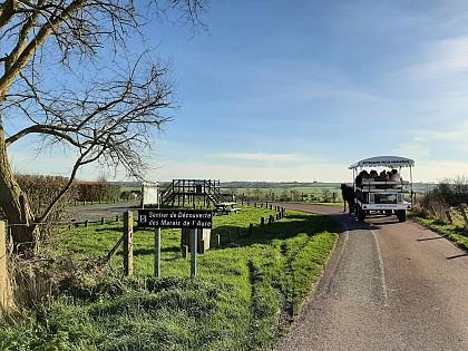 Belvédère du sentier des Marais de l'Aure