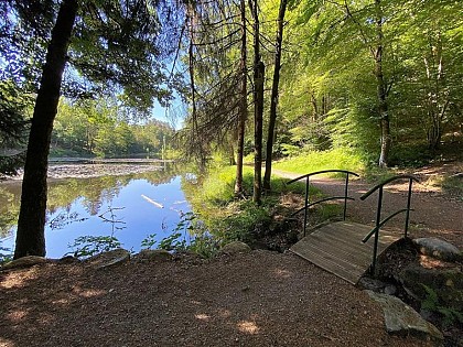 CIRCUIT TRAIL TOUR DE SAINT-NABORD