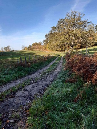 Point d'intérêt du 12/11/2022 15:21:09