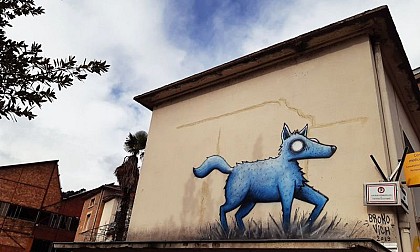 Le Renard bleu - Broko