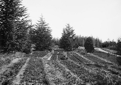 Immersion dans Puechagut