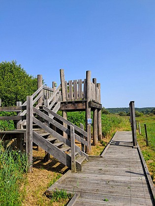 Marais de Lay St Rémy et Pagny-sur-Meuse