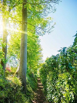 Connaissez-vous les sentes à paniers ?