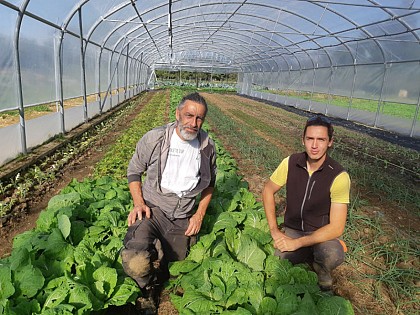 GAEC La Chouette Isop - Vegetables and fruits